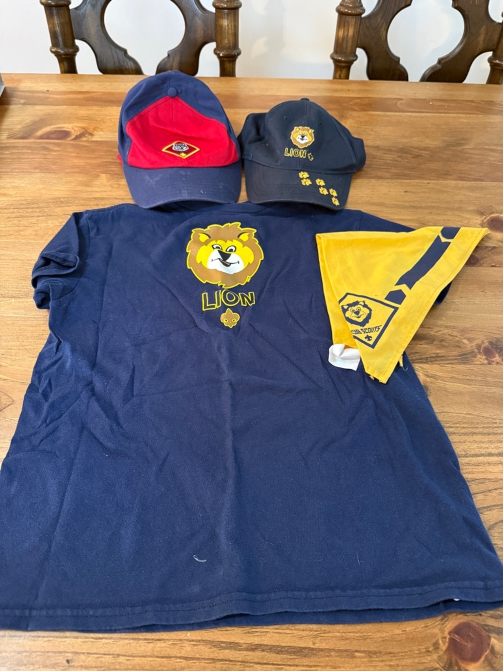 Lion Cub kids Scouts Navy T-Shirt with Yellow Scout Graphics